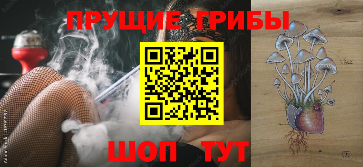 Псилоцибиновые грибы Psilocybine cubensis Бузулук