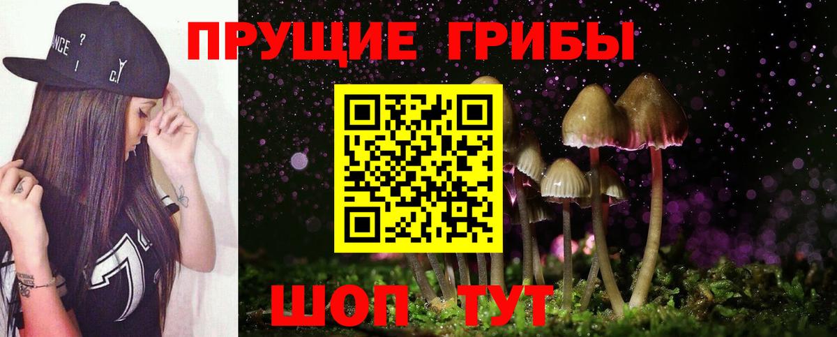 Галлюциногенные грибы MAGIC MUSHROOMS  Вход с VPN  Бузулук 